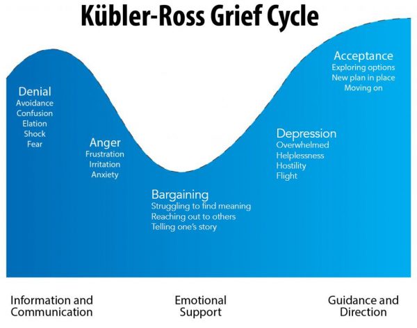 You are currently viewing 5 stages of grief